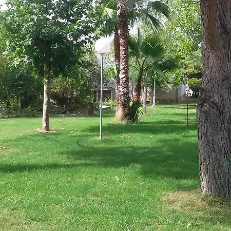 Peru By Bossh! Trujillo